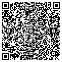 QR code with Newey's contacts