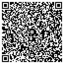 QR code with Premier Auto Group contacts