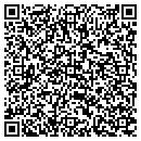 QR code with Profitsource contacts