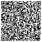 QR code with Badger Custom Windows contacts
