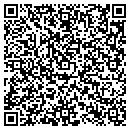 QR code with Baldwin Telecom Inc contacts