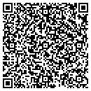QR code with Pull Out Shelf Co contacts