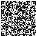 QR code with Wipfli contacts
