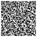 QR code with Cesarz Drywall Inc contacts