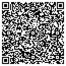 QR code with Print Zone LLC contacts