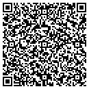 QR code with Pull It Together contacts