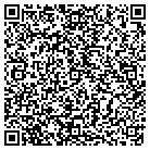 QR code with Badger Midwest Holdings contacts