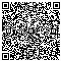 QR code with Pips contacts