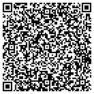 QR code with Pulmonary Diagnostics contacts