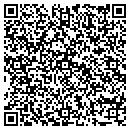 QR code with Price Painting contacts
