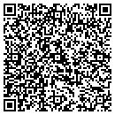 QR code with Premio Realty contacts
