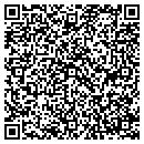 QR code with Process Serving Inc contacts