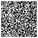 QR code with BLR Development Inc contacts