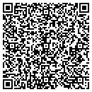 QR code with Problem Solvers contacts