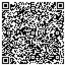 QR code with Protype Service contacts