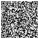 QR code with Castle Rock Container contacts