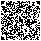 QR code with Pulse E F T Association contacts