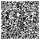 QR code with Borkovec Construction contacts