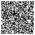 QR code with Dave's contacts