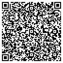 QR code with Cygnet Shoppe contacts