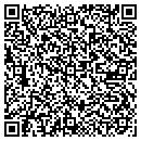 QR code with Public Works Director contacts