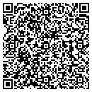 QR code with Preiss Assoc contacts