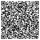 QR code with Baileigh Industrial Inc contacts