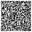 QR code with Charles Yrulegui Co contacts