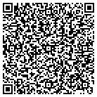 QR code with Pulmonary Diagnostic Inc contacts