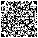 QR code with Pulse EFT Assn contacts