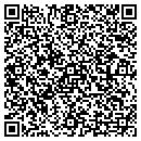 QR code with Carter Construction contacts