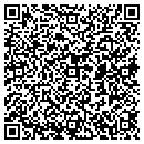 QR code with Pt Custom Cycles contacts