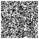QR code with Premier Credit Inc contacts
