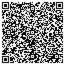 QR code with Chapin's Garage contacts