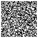 QR code with Clementi Software contacts
