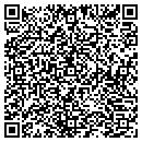 QR code with Public Instruction contacts