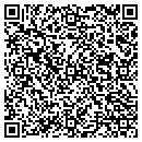 QR code with Precision Pools Inc contacts