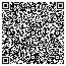 QR code with Colors Painting contacts