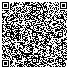QR code with Plain Elementary School contacts