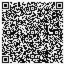 QR code with Terrys 29 Auto Sales contacts