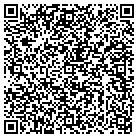 QR code with Badger Blueprint Co Inc contacts