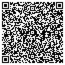 QR code with Premier Auto Group contacts