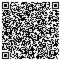 QR code with Estilo contacts