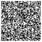 QR code with Pulaski Swimming Pool contacts