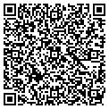QR code with Bogeys contacts