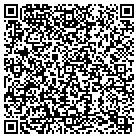 QR code with Professional Plastering contacts