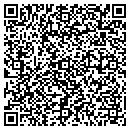 QR code with Pro Plastering contacts