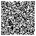 QR code with E Saul contacts