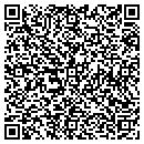 QR code with Public Instruction contacts