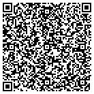 QR code with Badger Security & Alarm contacts